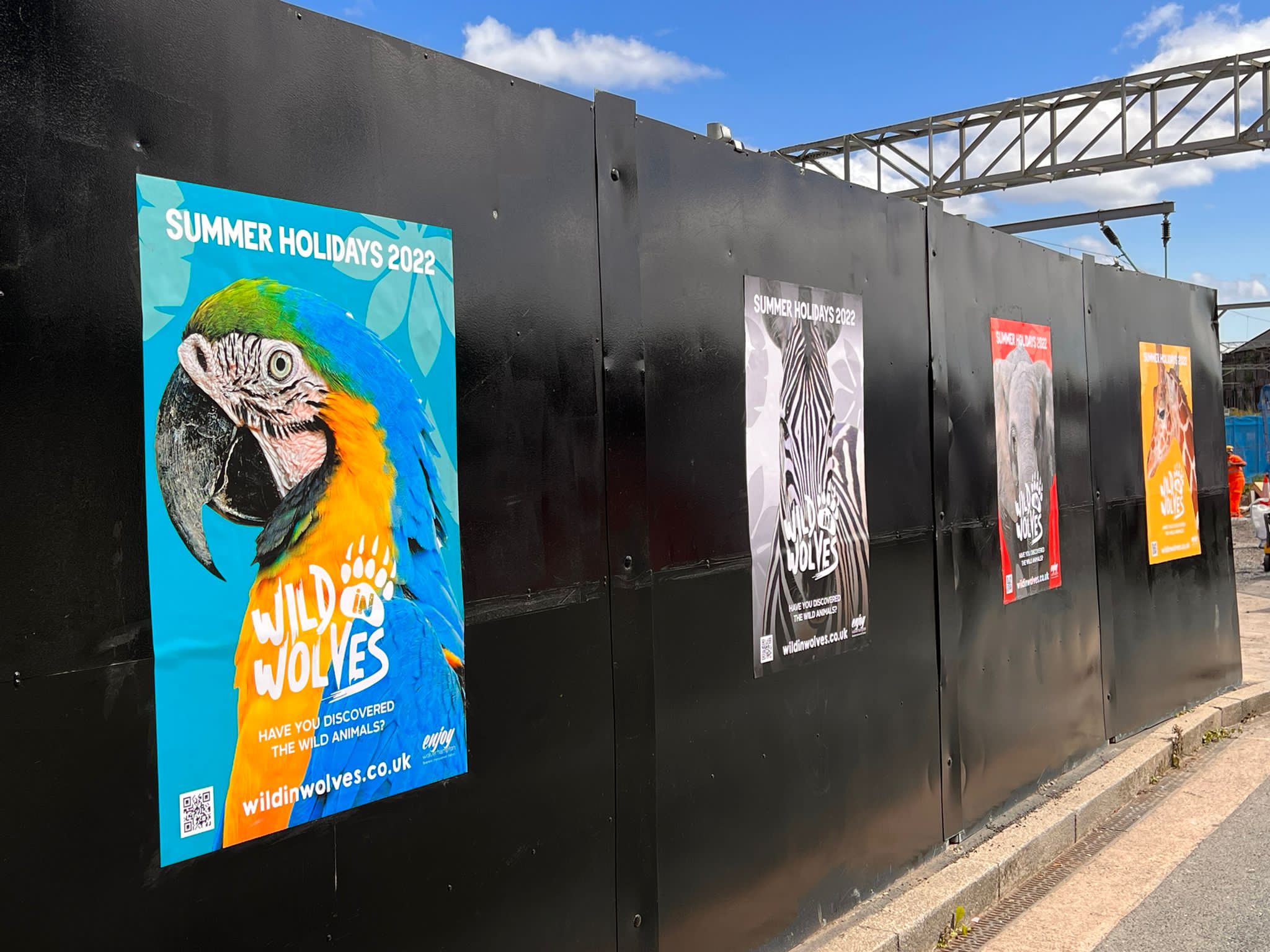 Wild In Wolves Advertising Posters