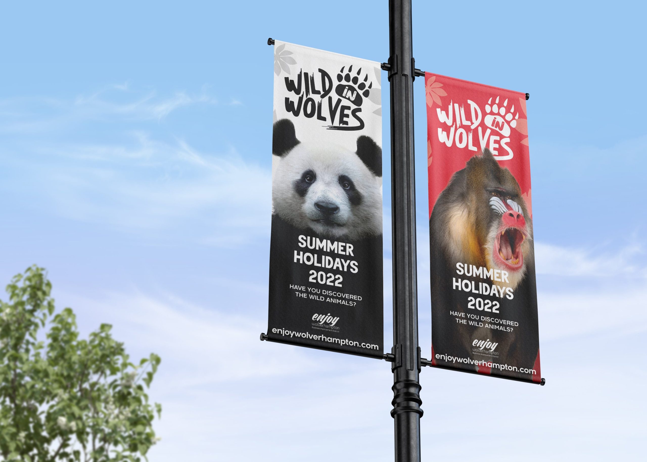 Wild In Wolves Street Advertising